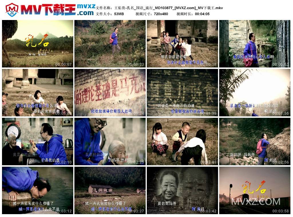 王佑贵-乳名_国语_流行_MD103877